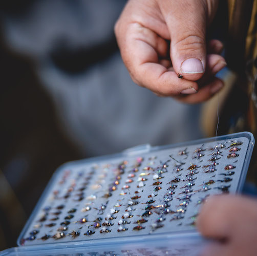 Davidson River Outfitters Visit us in Brevard NC